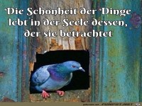 Die Schnheit der Dinge lebt in der Seele