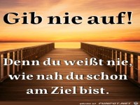Gib nie auf