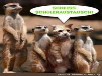 D�mlicher Sch�leraustausch