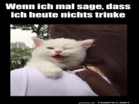 Heute trinke ich nichts