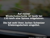 Spinne auf der Windschutzscheibe bei 130 km/h