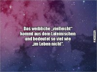 Humorvolle Definition von 'vielleicht'