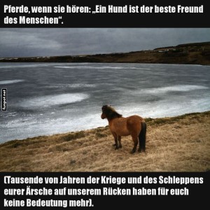 Pferde-und-ihre-Gedanken-ber-Menschen.jpg von Pascal-1968
