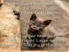 weiter