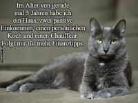 Vom Stubentiger zum Finanzguru