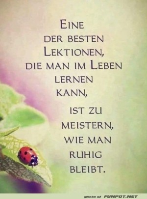 Marienkäfer-Meisterklasse:-Bleib-ruhig!.jpg auf www.funpot.net