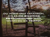 Entscheidungen in freier Wildbahn!