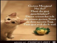 Guten Morgen-Na du