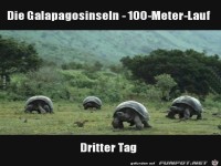 Wettlauf