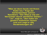 Was ist denn heute mit Ihrem Kater los