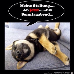 Begr&uuml;&szlig;ungsbild