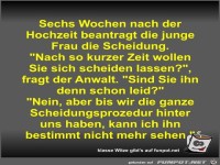 Sechs Wochen nach der Hochzeit beantragt die junge Frau die