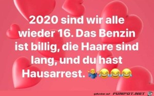 2020-sind-wir-alle-wieder-16.jpg auf www.funpot.net
