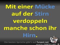 Mit einer M�cke auf der Stirn