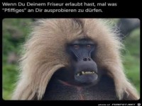 Schicke Frisur