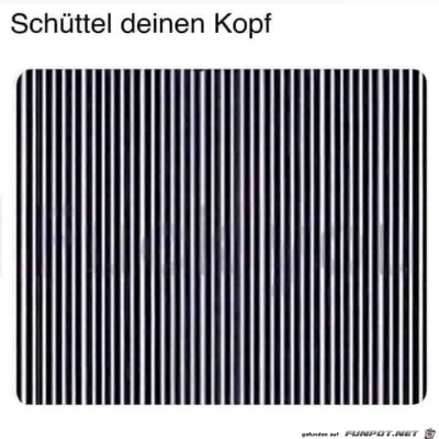 schüttel-den-Kopf.jpg von Maddin