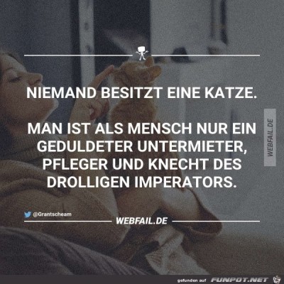 Niemand-besitzt-eine-Katze.....jpg von Jamesbd