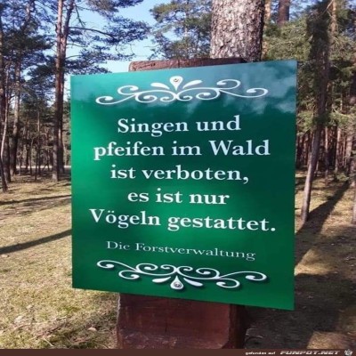im-Wald.jpg von Amina