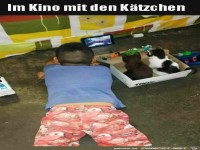 Mit den K�tzchen fernsehen