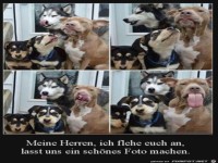 Ein sch�nes Foto bitte