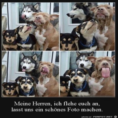 Ein-schönes-Foto-bitte.jpg von Tilo