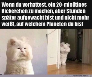 Völlig-verblasen.jpg auf www.funpot.net