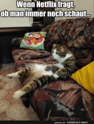 Wenn-Netflix-fragt.jpg auf www.funpot.net