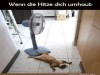 weiter