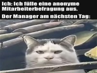 Wenn Blicke Frageb�gen entlarven