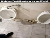 Sanitrkunst der besonderen Art