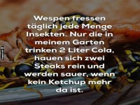 Gourmet-Wespen im Garten!