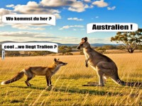 K�nguru und Fuchs auf Geografie-Abwegen