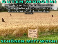 Sensationsreporter im Weizenfeld!