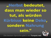 Krbis als Deko oder Dinner?