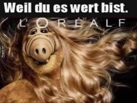 Alf's Haar-Transformation Deluxe