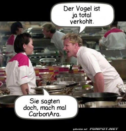 Kochen-mit-Feuer:-Der-Carbonara-Fail.jpg auf www.funpot.net