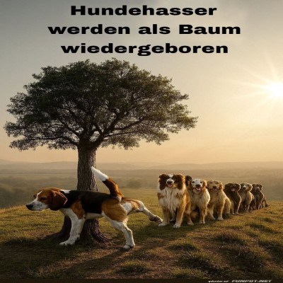 Der-Baum-des-Lebens-für-Hunde!.jpg von Bela