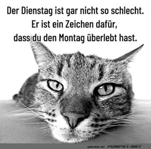 Der-Dienstag-ist-okay.jpg auf www.funpot.net