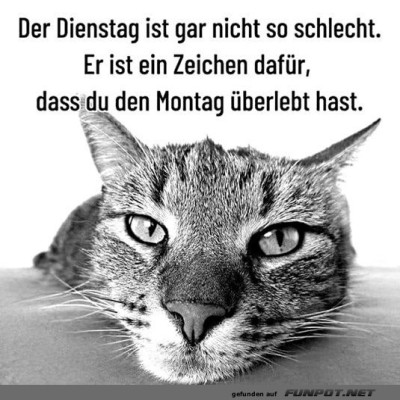 Der-Dienstag-ist-okay.jpg von Justus2002