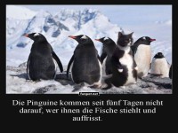 Pinguine im Spionagefieber