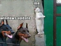 Wenn das Update wieder zuschl�gt!