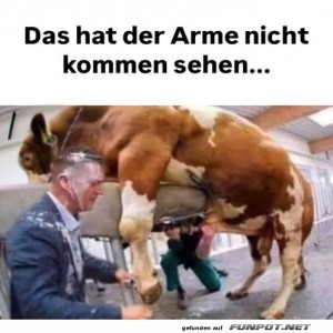 Unerwarteter-Milchregen-�berraschungstag!.jpg von Sophie48