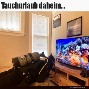 Tauchurlaub-zuhause.jpg von Matilda