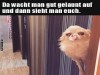 weiter