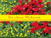 Ein schoenes Wochenende 7
