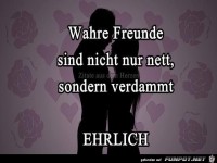 Wahre-Freunde-sind-nicht-nur-nett-sondern-verdammt-ehrlich