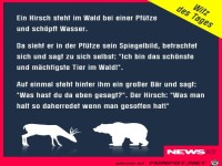 witz des Tages 1 