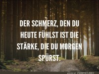 der-schmerz-den-du-heute-fuehlst