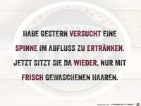 Frisch gewaschene Haare