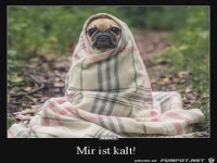 mir ist kalt.....